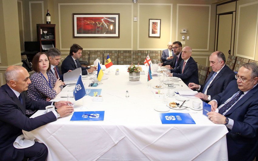 Эльмар Мамедъяров принял участие во встрече министров иностранных дел ГУАМ