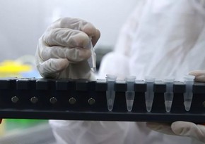 В Беларуси заявили о расширении производства новой вакцины от рака