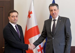 Вице-спикер Грузии: Отношения с Азербайджаном должны быть выведены на более высокий уровень