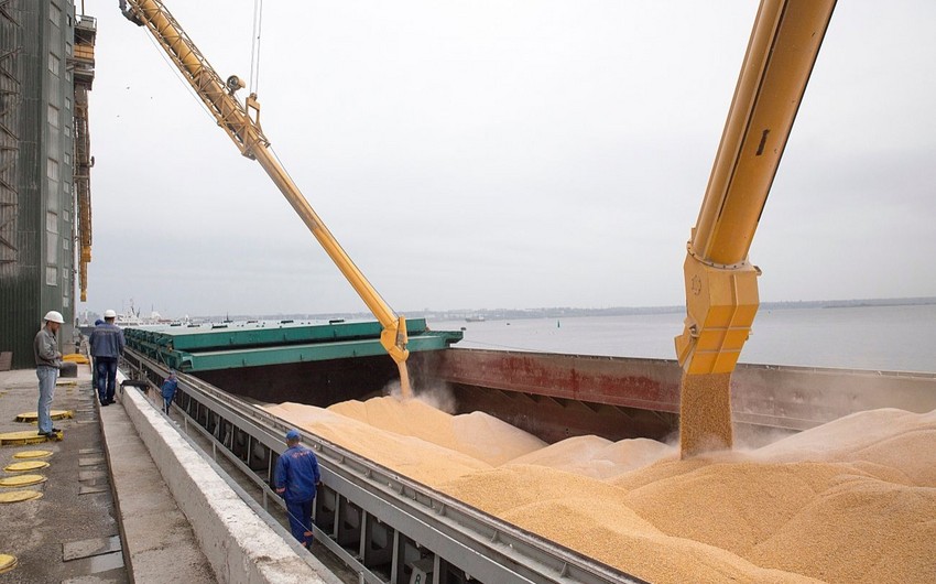 5 ships leave Ukrainian ports along “grain corridor”