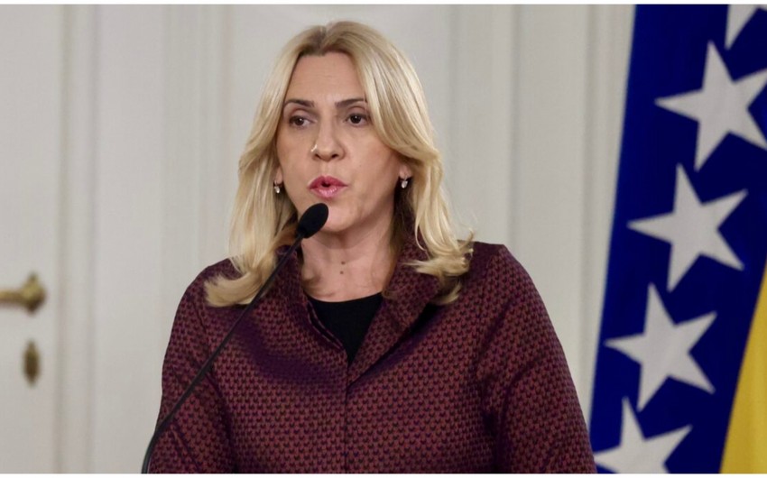 Chairwoman of Presidency of Bosnia and Herzegovina: Azerbaijan is a very important country for us