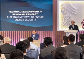 Министр: Азербайджан развивает зеленую энергетику, чтобы стать страной зеленого роста