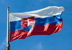 МВД Словакии: Страна стоит на пороге гражданской войны