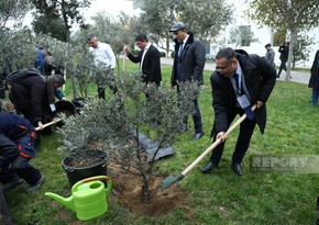 International conference participants in Baku plant trees in Zira Ecopark