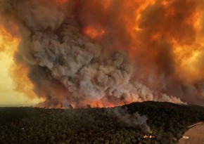 İqlim dəyişikliyi planetdə dağıdıcı yanğınları gücləndirib