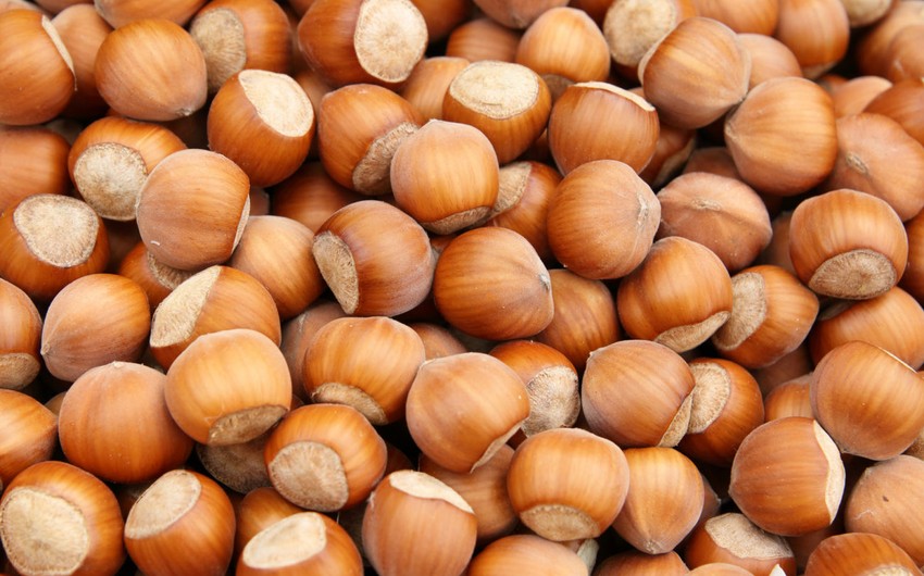 Azerbaijan reduces cost of importing hazelnuts from Türkiye by 10%