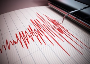 6.6-magnitude quake jolts Tonga