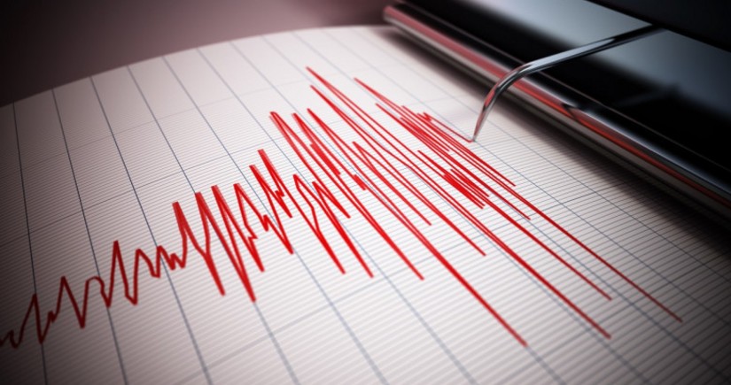 6.6-magnitude quake jolts Tonga