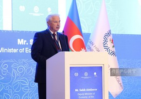 Official: Azerbaijan among countries with world's highest gasification level