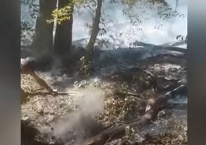 Fire breaks out in mountainous area in Oghuz