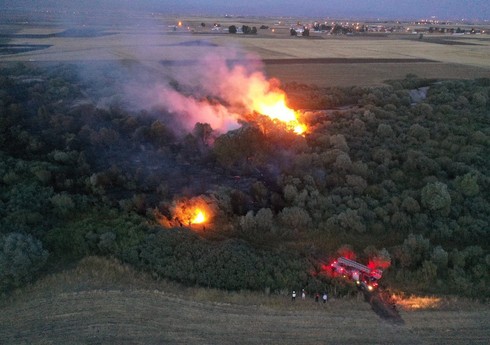 В провинции Агры на востоке Турции возник лесной пожар