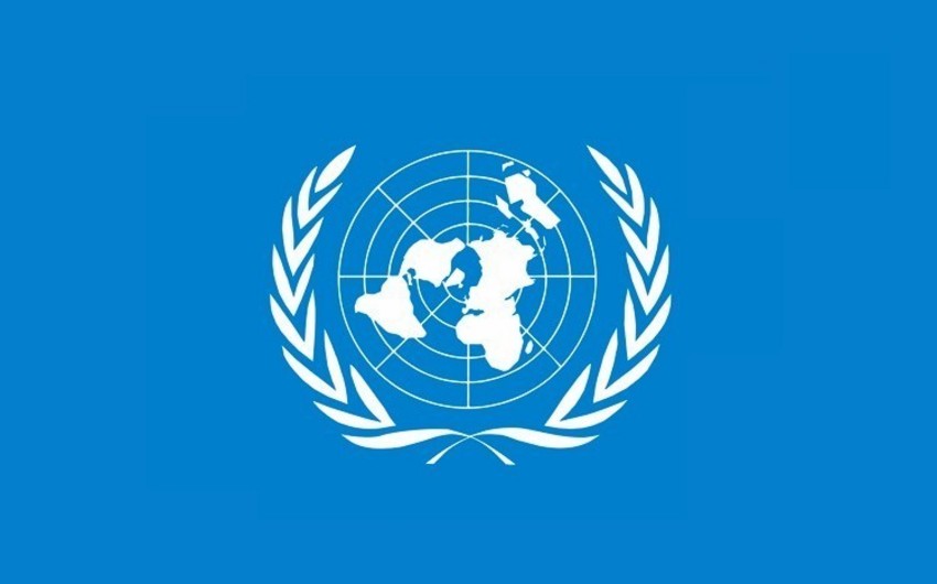 Оон 8 лет. Дракон организация Объединенных наций символ.