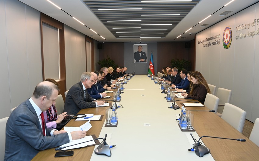 Azerbaijani FM meets EU special envoy