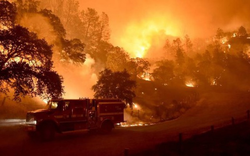 ​Лесные пожары в Калифорнии: сгорело почти 90 домов - ВИДЕО