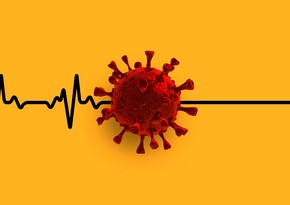 Ученые рассказали, как коронавирус действует на сердце