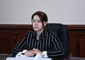 Ирада Гюльмамедова освобождена от должности главы исполнительной власти