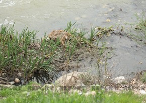 Pollution level of Azerbaijani rivers to be monitored online