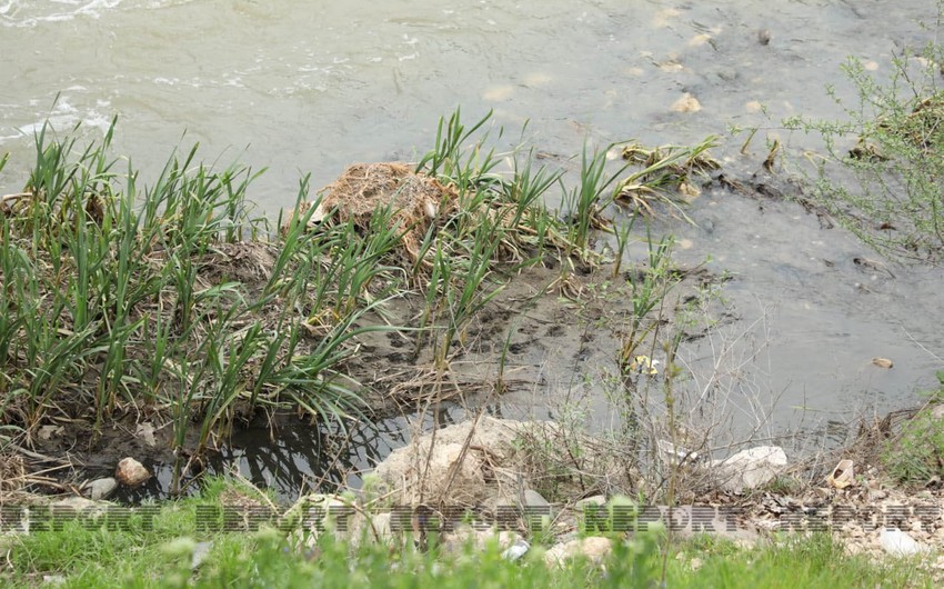 Pollution level of Azerbaijani rivers to be monitored online