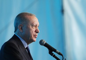 Erdogan says Turkiye, Azerbaijan attach importance to expansion of SGC