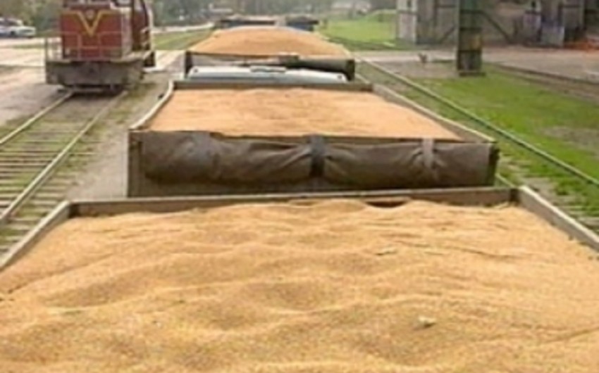 ​Казахстан экспортировал в Азербайджан 3539,8 тыс. тонн пшеницы