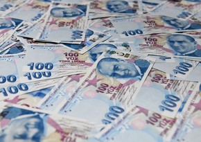 Курс турецкой лиры снизился на 6% 