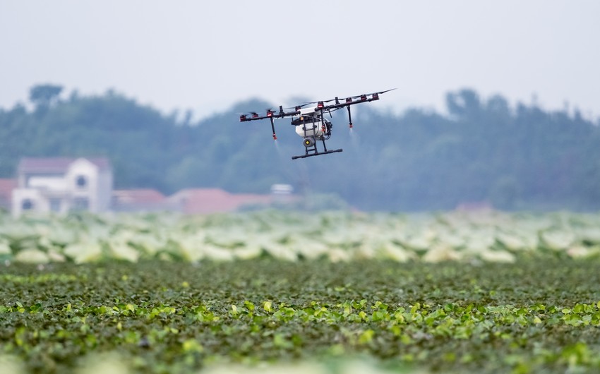 Drones to be widely used in agriculture in Karabakh