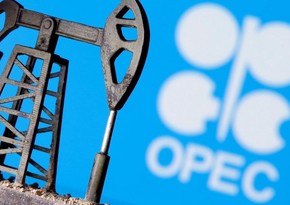 OPEC+ agrees to delay October oil output hike for two months, sources say