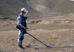 Polis rəisi: Şuşa şəhəri minalardan tam təmizlənib