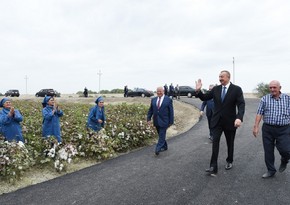 Azərbaycan Prezidenti Neftçala rayonunda pambıq sahəsi ilə tanış olub