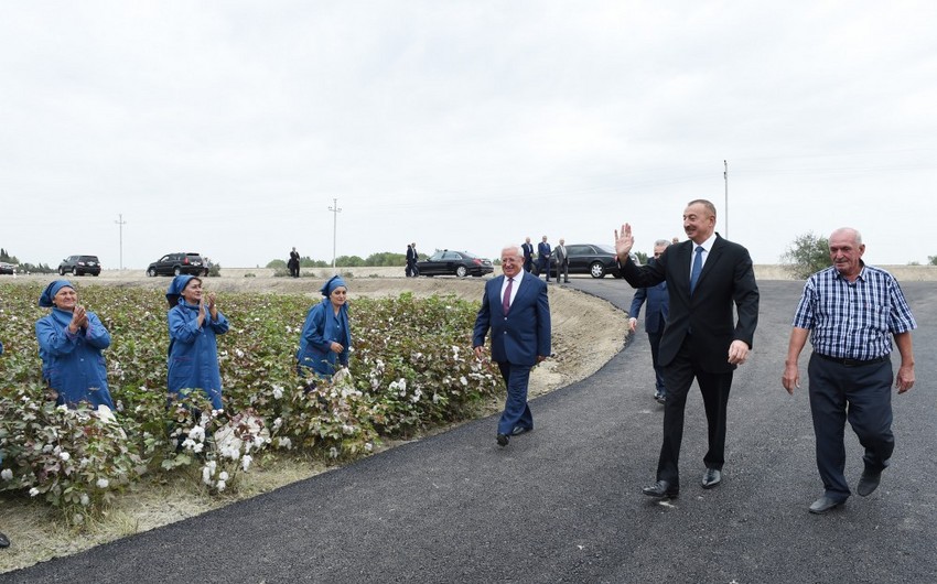 Azərbaycan Prezidenti Neftçala rayonunda pambıq sahəsi ilə tanış olub