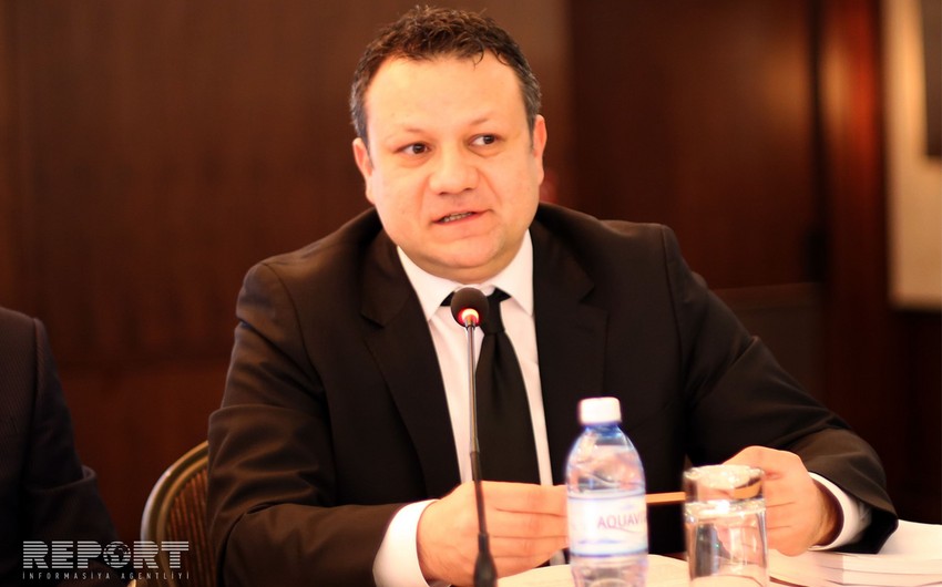 Глава представительства МОМ: Азербайджан имеет полезный опыт в сфере решения вопросов миграции