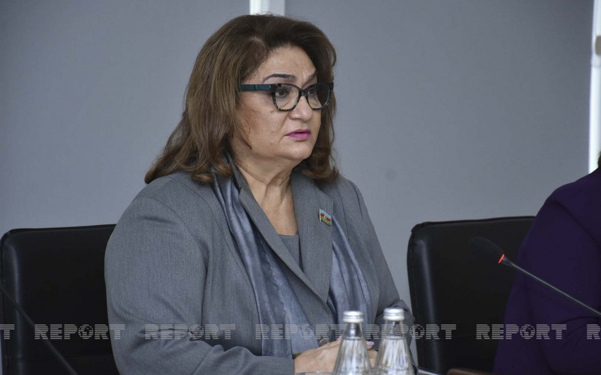 Committee chief notes gaps in Azerbaijani laws on gender equality 