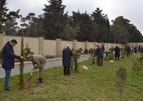Another tree planting campaign held within framework of Year of Heydar Aliyev