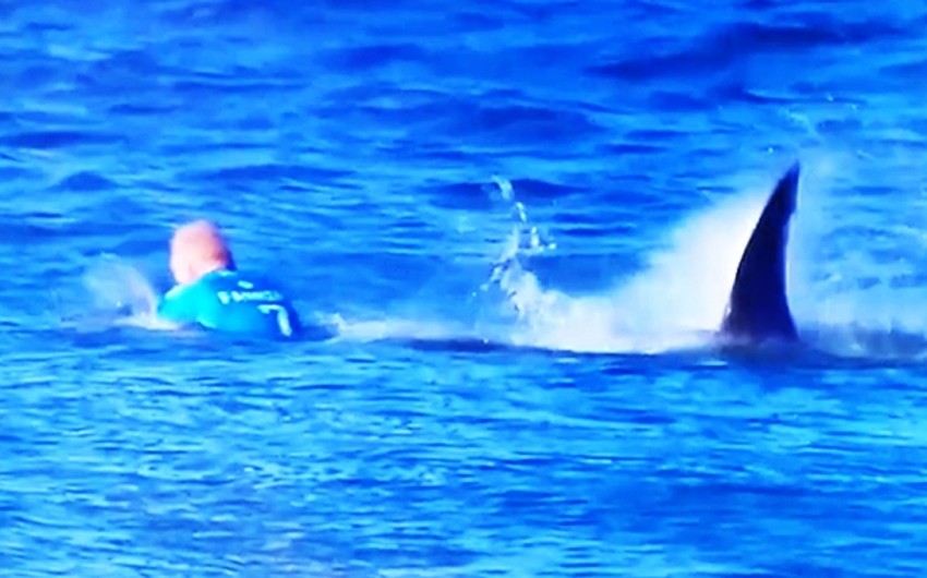 Серфер подвергся нападению акулы во время соревнований - ВИДЕО