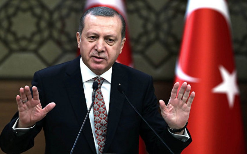 Эрдоган призвал лишать гражданства за поддержку террористов