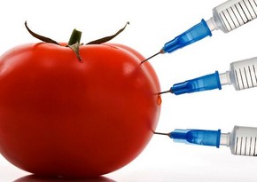 Parliament Committee Chairman: GMO products are still imported to Azerbaijan