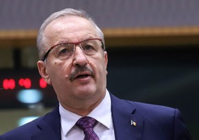 Министр обороны Румынии подал в отставку