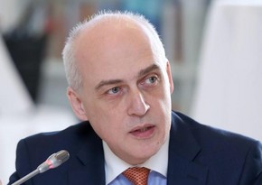 Georgian Foreign Minister: Process of border delimitation with Azerbaijan will come to a logical end
