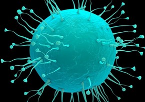 Ученые: Мир ожидает более опасная пандемия, чем коронавирус