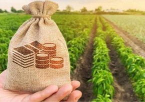 ЦБА: Кредиты банков аграрному сектору превысили 1,5 млрд манатов