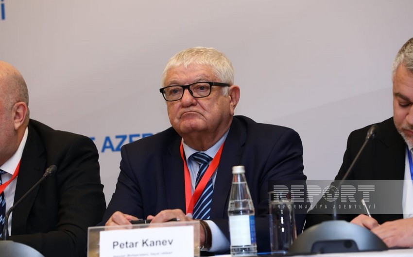 Head of PABSEC mission hails presidential elections held in Azerbaijan