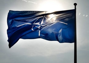 Спецпредставитель: НАТО увеличит поддержку Грузии