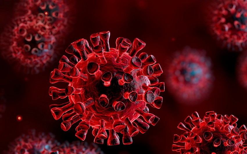 Gürcüstanda son sutkada koronavirusdan 60 nəfər ölüb