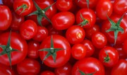 Azerbaijan's income from tomato exports grows by over 12%