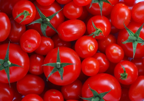 В январе-мае этого года Азербайджан экспортировал 86 тыс. тонн помидоров