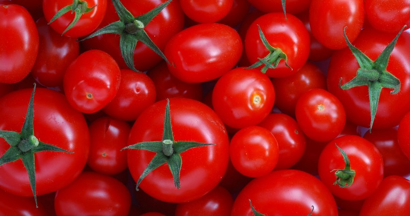 Azərbaycan daha bir körfəz ölkəsinə pomidor tədarükünə başlayıb