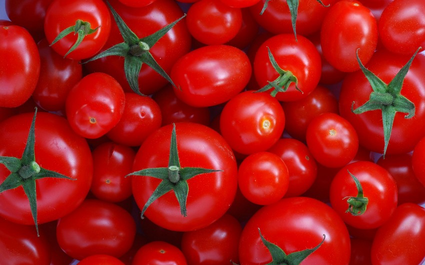 Azərbaycan daha bir körfəz ölkəsinə pomidor tədarükünə başlayıb