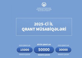 Агентство государственной поддержки НПО объявило грантовые конкурсы на 2025 год