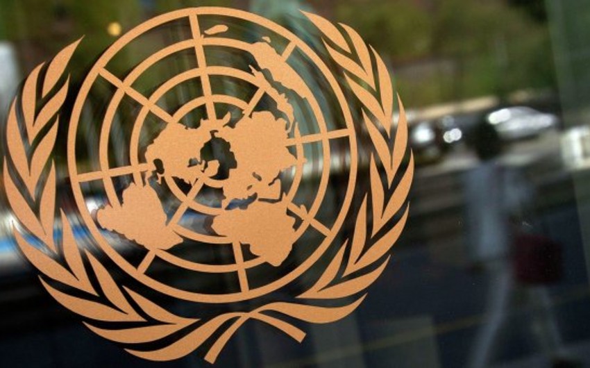 Генассамблея ООН одобрила резолюцию о внутренне перемещенных лицах и беженцах из Грузии