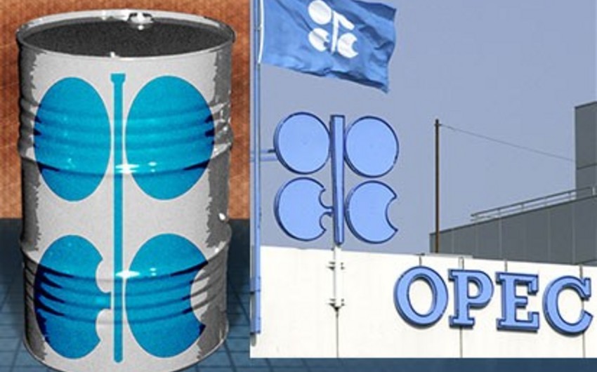 OPEC's oil output reaches a record high